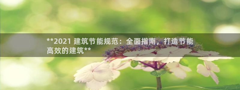 e尊国际可靠吗：**2021 建筑节能规范：全面指南，打造节能
高效的建筑**