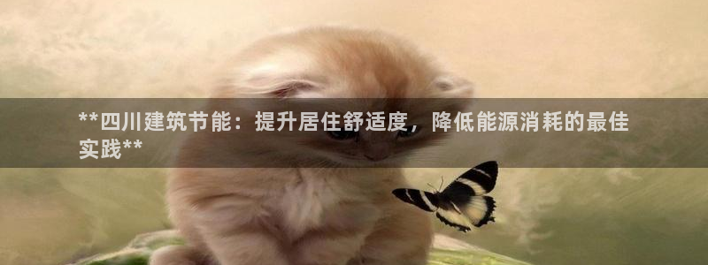 e尊国际是个黑网：**四川建筑节能：提升居住舒适度，降低能源消耗的最佳
实践**