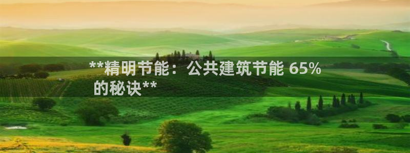e尊电竞：**精明节能：公共建筑节能 65%
 的秘诀**