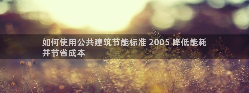 e尊国际地址：如何使用公共建筑节能标准 2005 降低能耗
并节省成本