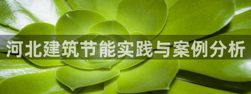 e尊国际平台：河北建筑节能实践与案例分析
