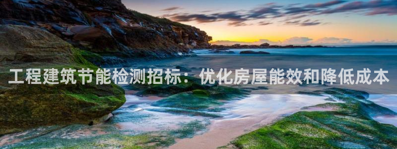 e尊国际官网：工程建筑节能检测招标：优化房屋能效和降低成本