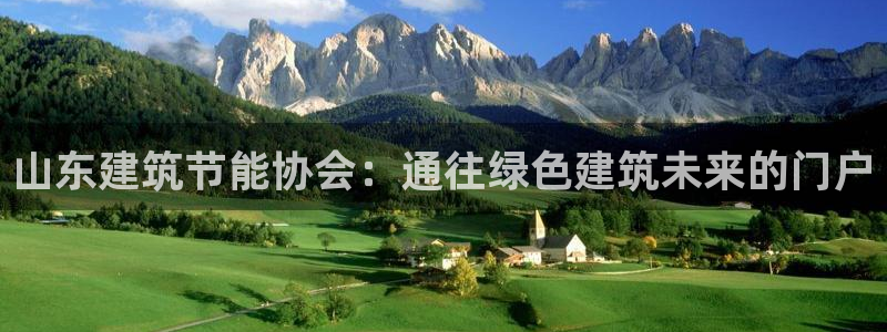 e尊国际客服：山东建筑节能协会：通往绿色建筑未来的门户