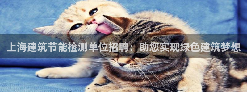 e尊国际娱乐官网下载：上海建筑节能检测单位招聘：助您实现绿色建筑梦想