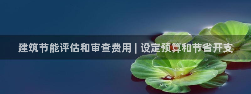e尊国际客户端：建筑节能评估和审查费用 | 设定预算和节省开支