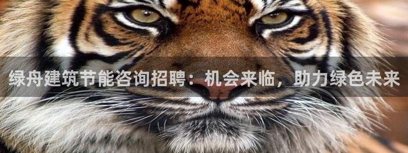 e尊国际客服：绿舟建筑节能咨询招聘：机会来临，助力绿色未来
