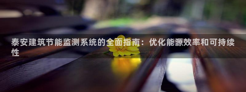 谁知道e尊国际的网址：泰安建筑节能监测系统的全面指南：优化能源效率和可持续
性