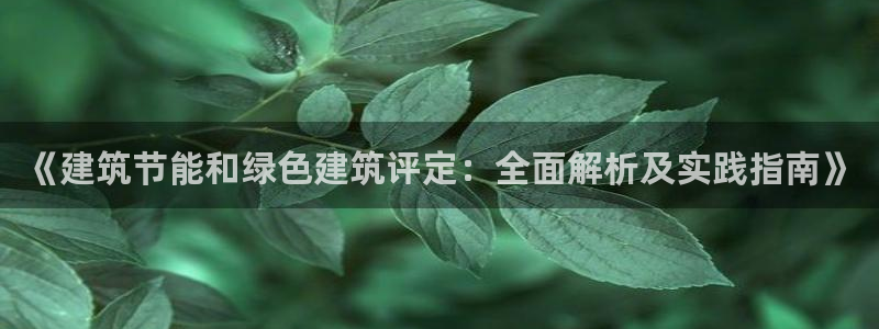 e尊国际官方网站：《建筑节能和绿色建筑评定：全面解析及实践指南》
