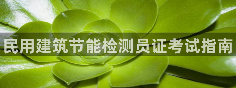 e尊国际官网