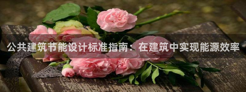 e尊国际平台：公共建筑节能设计标准指南：在建筑中实现能源效率