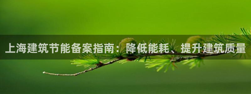 e尊平台：上海建筑节能备案指南：降低能耗、提升建筑质量