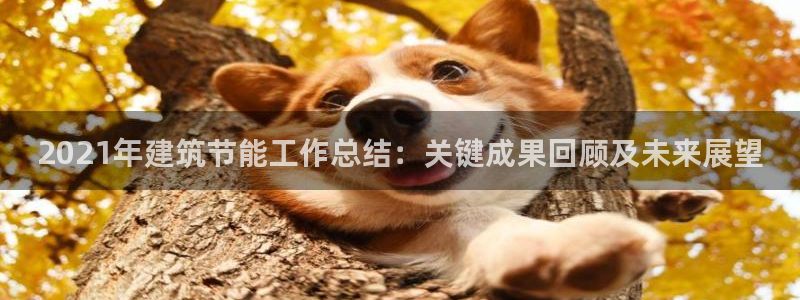 e尊国际官网app：2021年建筑节能工作总结：关键成果回顾及未来展望