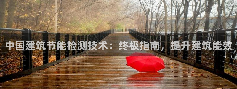 e尊国际官方网站：中国建筑节能检测技术：终极指南，提升建筑能效