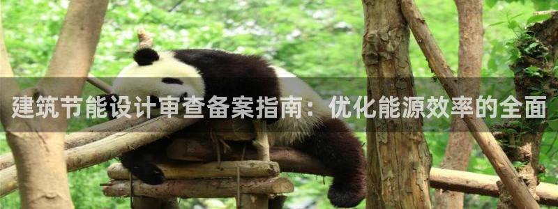 e尊国际平台：建筑节能设计审查备案指南：优化能源效率的全面
