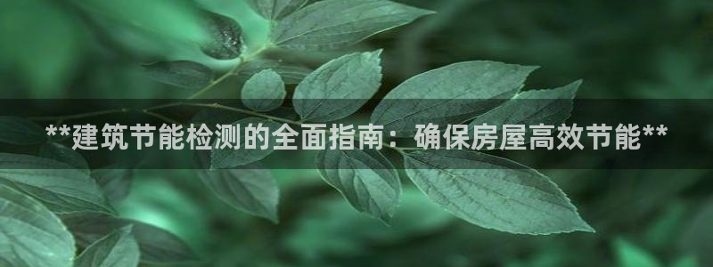 e尊国际官网app：**建筑节能检测的全面指南：确保房屋高效节能**