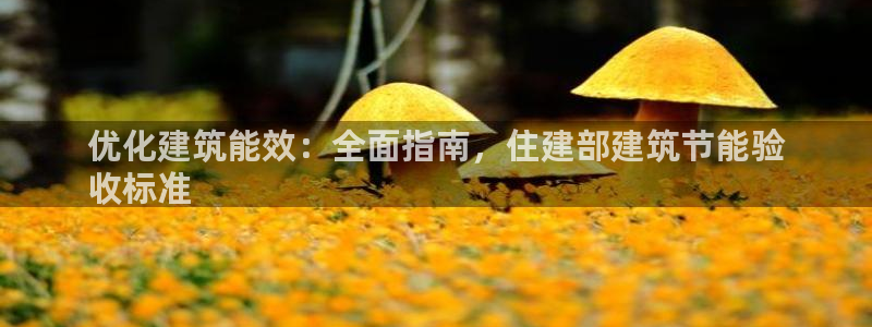 e尊国际的手机登录网站：优化建筑能效：全面指南，住建部建筑节能验
收标准