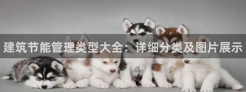 e尊国际地址：建筑节能管理类型大全：详细分类及图片展示