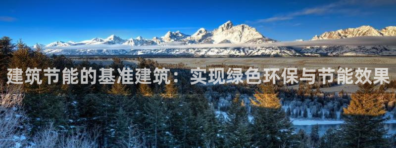 e尊国际的手机登录网站