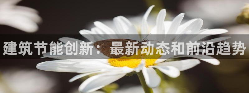 e尊国际客户端下载