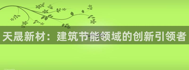 E尊国际网站：天晟新材：建筑节能领域的创新引领者