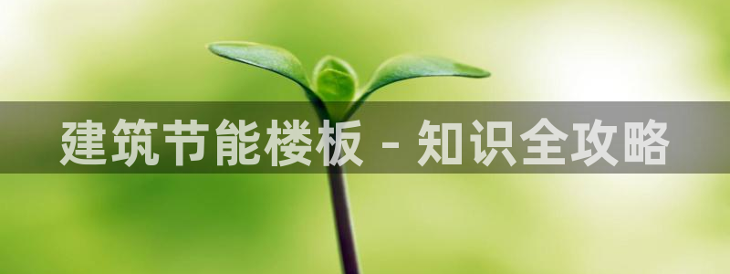 e尊国际客服：建筑节能楼板 - 知识全攻略