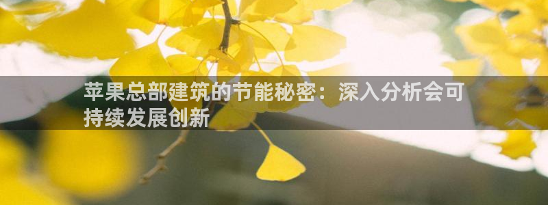 E尊国际