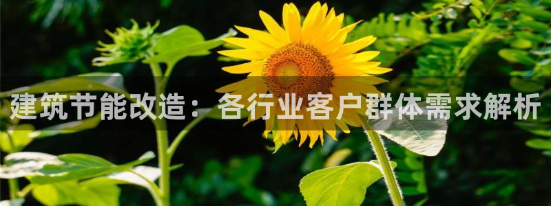 e尊国际娱乐官网地址：建筑节能改造：各行业客户群体需求解析