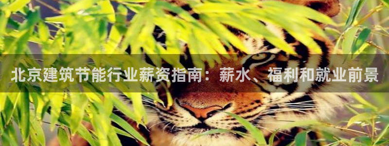 e尊国际平台：北京建筑节能行业薪资指南：薪水、福利和就业前景
