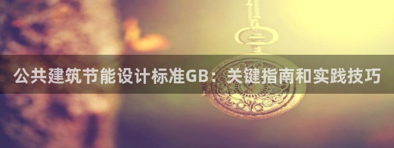谁知道e尊国际的网址：公共建筑节能设计标准GB：关键指南和实践技巧