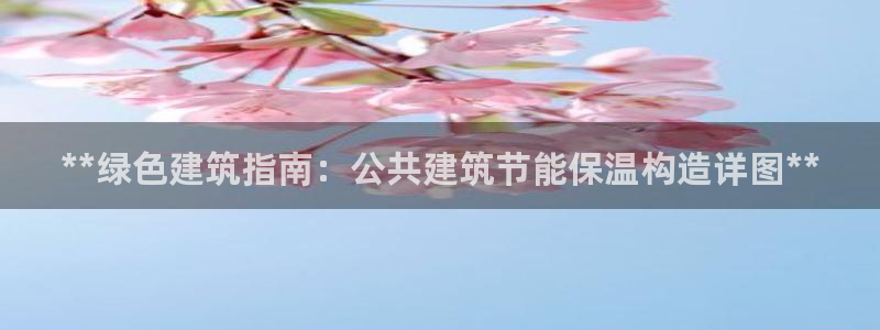 e尊国际的手机登录网站：**绿色建筑指南：公共建筑节能保温构造详图**