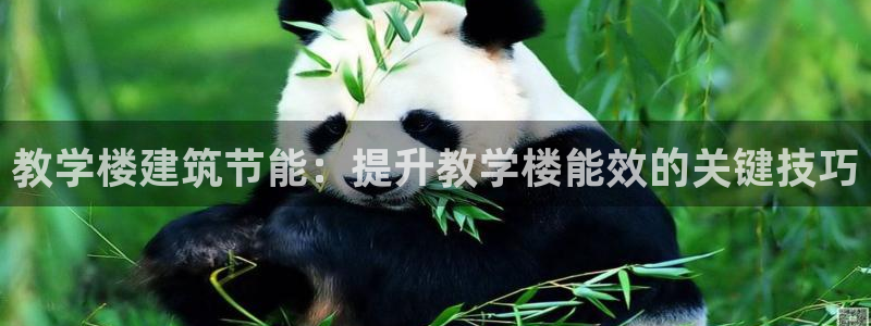 e尊国际7779：教学楼建筑节能：提升教学楼能效的关键技巧