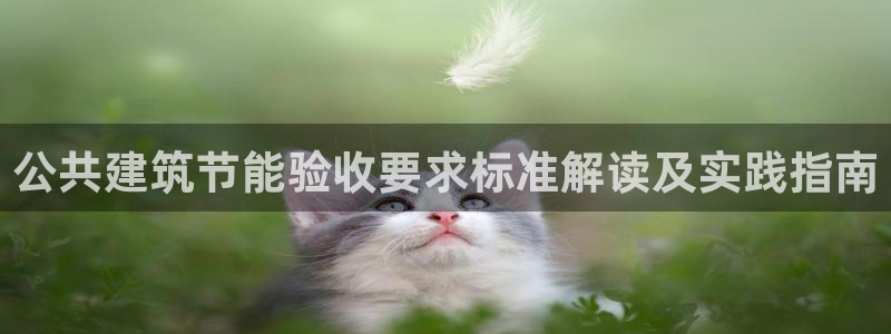 e尊国际的手机登录网站：公共建筑节能验收要求标准解读及实践指南