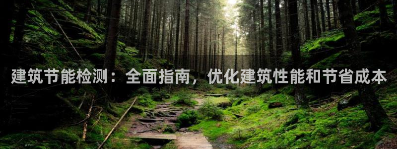 e尊国际地址：建筑节能检测：全面指南，优化建筑性能和节省成本