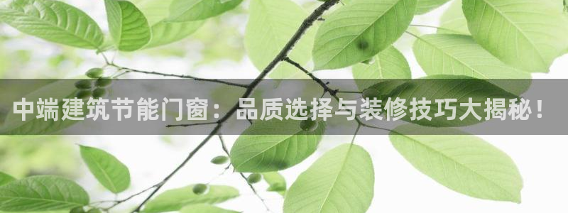 e尊国际网址：中端建筑节能门窗：品质选择与装修技巧大揭秘！