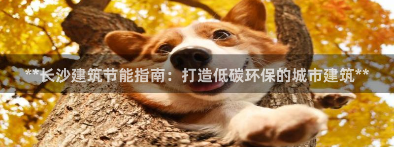 e尊国际的手机登录网站：**长沙建筑节能指南：打造低碳环保的城市建筑**