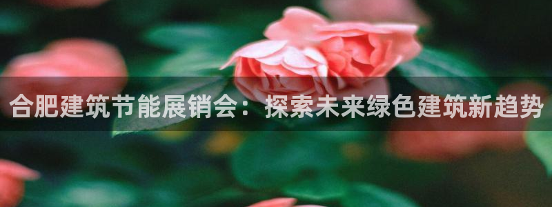 e尊国际是干什么的：合肥建筑节能展销会：探索未来绿色建筑新趋势