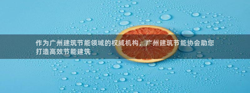 e尊官网：作为广州建筑节能领域的权威机构，广州建筑节能协会助您
打造高效节能建筑