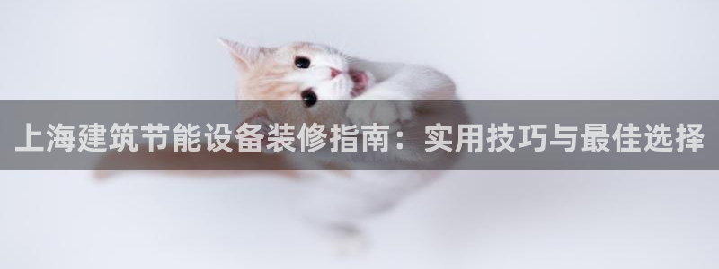 尊亿游戏国际官网：上海建筑节能设备装修指南：实用技巧与最佳选择