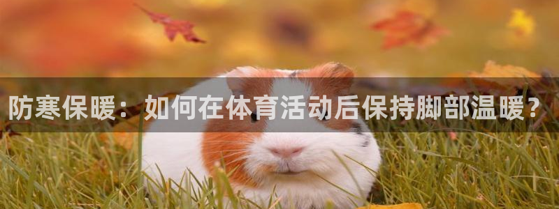 vsport体育在线官网：防寒保暖：如何在体育活动后保持脚部温暖？