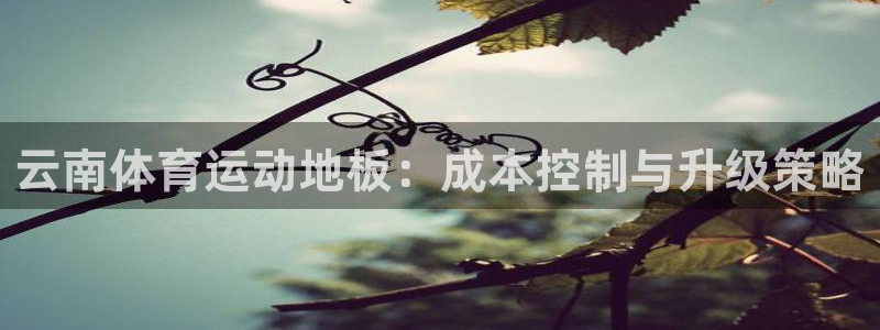 vsport体育：云南体育运动地板：成本控制与升级策略