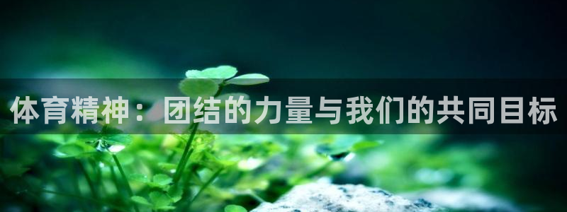 vsport体育在线官网：体育精神：团结的力量与我们的共同目标