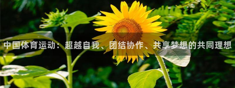 vsport体育：中国体育运动：超越自我、团结协作、共享梦想的共同理想