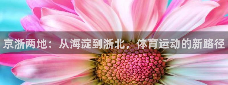 vsport体育在线官网：京浙两地：从海淀到浙北，体育运动的新路径