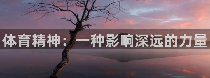 vsport体育：体育精神：一种影响深远的力量