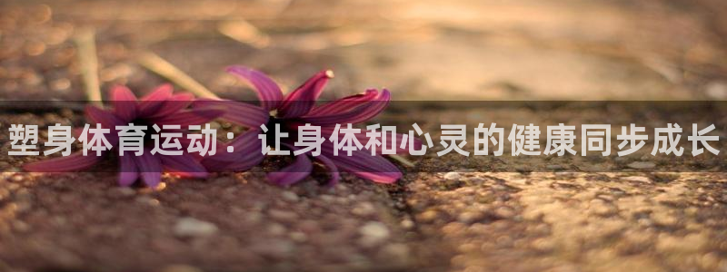 vsport体育在线官网：塑身体育运动：让身体和心灵的健康同步成长