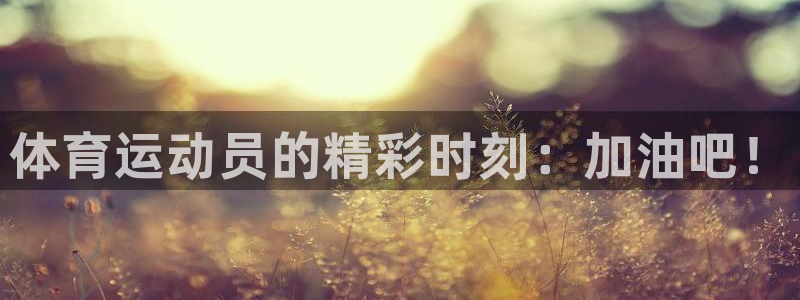 vsport体育：体育运动员的精彩时刻：加油吧！