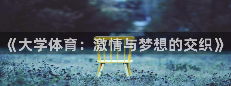 vsport体育：《大学体育：激情与梦想的交织》