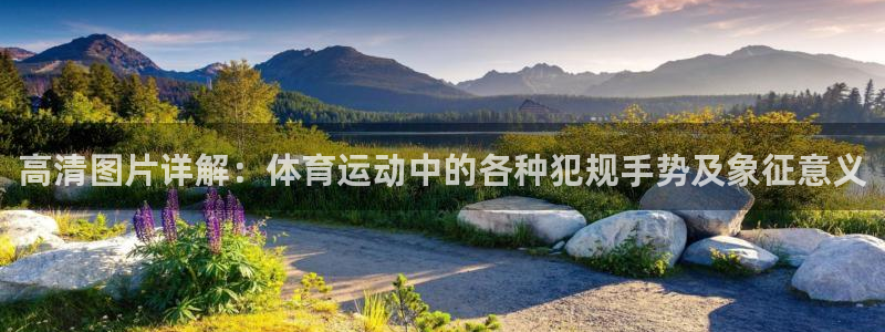 vsport体育在线官网：高清图片详解：体育运动中的各种犯规手势及象征意义