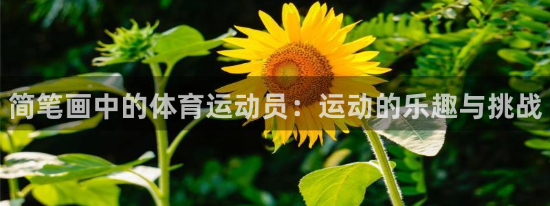 vsport体育在线官网