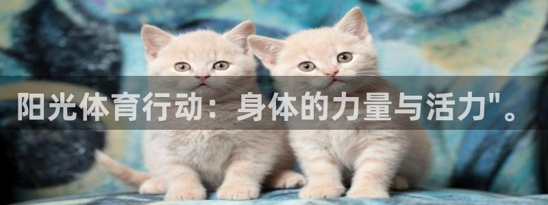 vsport体育在线官网：阳光体育行动：身体的力量与活力\